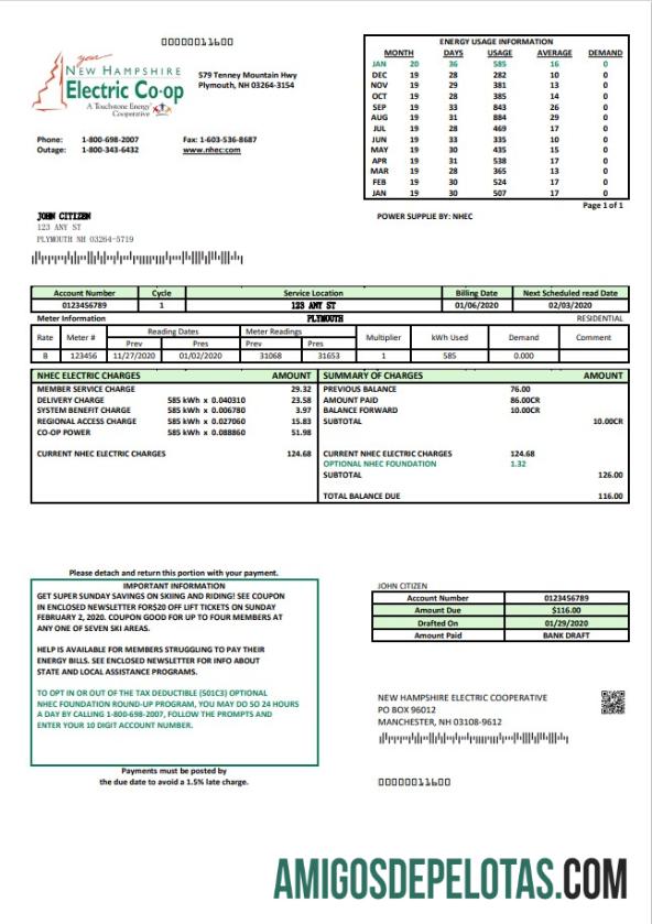 Para baixar modelo de conta de serviços públicos de eletricidade da USA New Hampshire Electric Co Op em formato Word e PDF